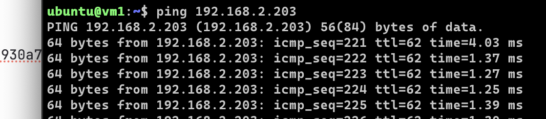 ping с vm1 доходит до vm2